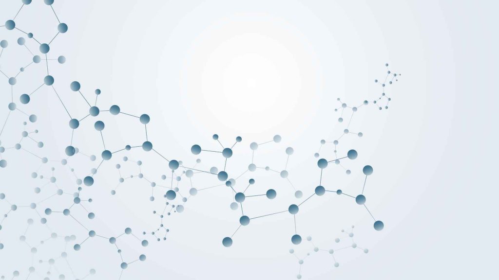 cell based assay