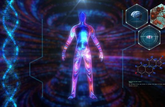 biotechanatomy2
